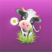 Holstein cow in grass over purple sticker (Voorkant)