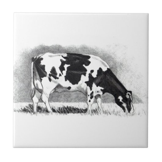 Holstein Cow: potloodtekening: Boerderij, land Tegeltje (Voorkant)