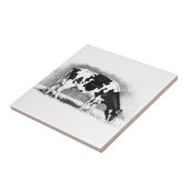 Holstein Cow: potloodtekening: Boerderij, land Tegeltje (Zijkant)