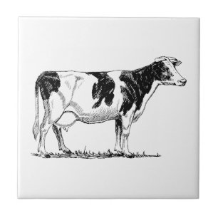Holstein Cow Tegeltje