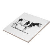 Holstein Cow Tegeltje (Zijkant)