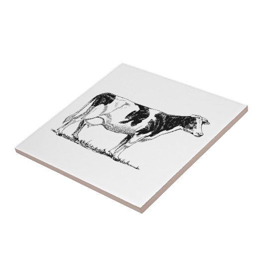 Holstein Cow Tegeltje (Zijkant)