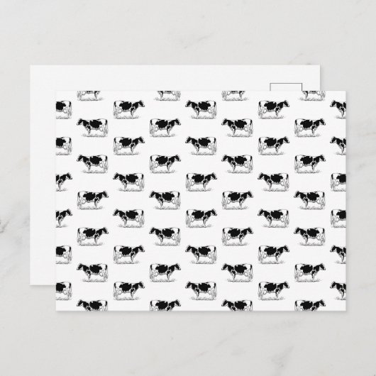  Holstein Cows CUSTOM BG COLOR Briefkaart (Voorkant / Achterkant)