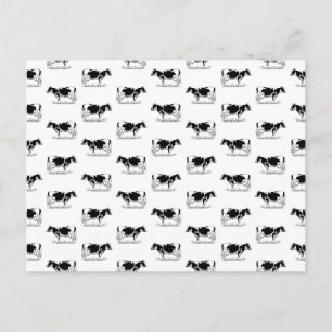 Holstein Cows CUSTOM BG COLOR Briefkaart