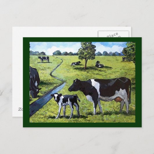 HOLSTEIN COWS IN PASTURE: Handgeschilde kunst Briefkaart (Voorkant / Achterkant)