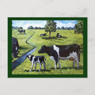 HOLSTEIN COWS IN PASTURE: Handgeschilde kunst Briefkaart