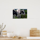 Holstein Dairy Cattle Poster (Keuken)