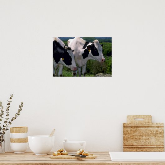 Holstein Dairy Cattle Poster (Keuken)