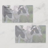 Holstein Dairy Cattle Visitekaartje (Voorkant / Achterkant)