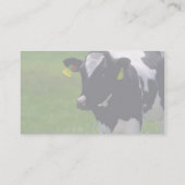Holstein Dairy Cattle Visitekaartje (Achterkant)
