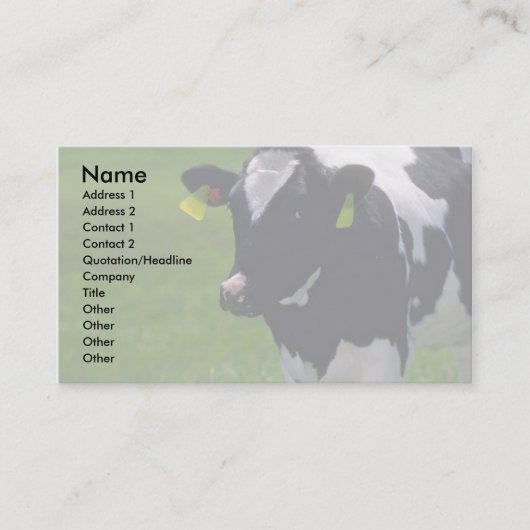Holstein Dairy Cattle Visitekaartje (Voorkant)