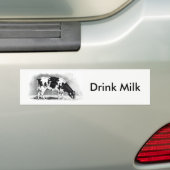 Holstein Dairy Cow: potloodtekening: Drink Melk Bumpersticker (Op auto)