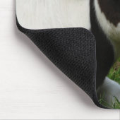 Holstein Dairy Milk Cow op gras Muismat (Hoek)