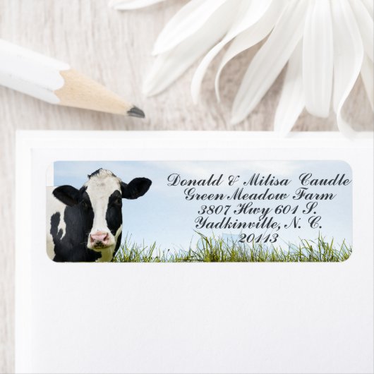 Holstein Etiket (Insitu)