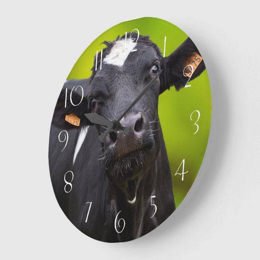 Holstein Fresian Koe Grote Klok (Hoek)