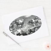 Holstein Frezische koe Frezische koeien Ovale Sticker (Envelop)