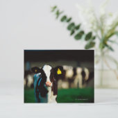 Holstein-Friesian kalf Briefkaart (Staand voorkant)