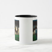 Holstein-Friesian kalf Mok (Midden)