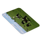 Holstein-Friesian rundvee, Ierland Magneet (Rechterzijde)