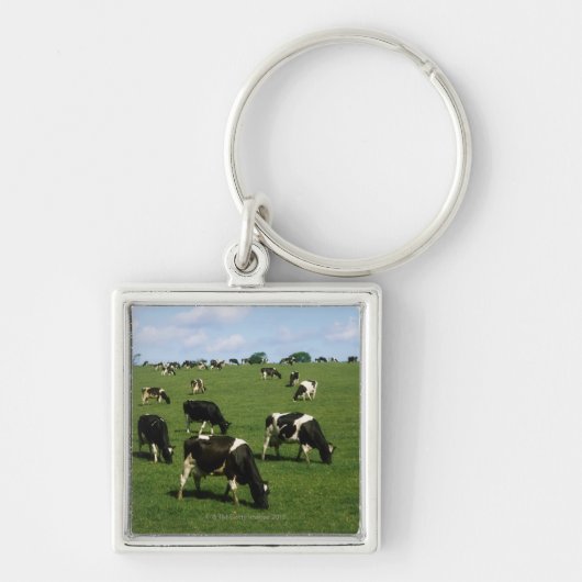 Holstein-Friesian rundvee, Ierland Sleutelhanger (Voorkant)