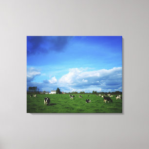 Holstein-Friesian Rundvee nabij Thurles, Co. Canvas Afdruk
