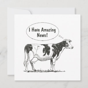 Holstein Gedachte Koe Aanpassen Aankondiging