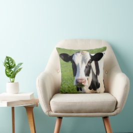 Holstein Heifer in de wei Kussen