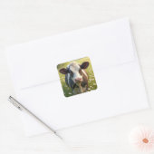 Holstein in groene weide met madeliefjes vierkante sticker (Envelop)