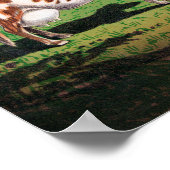 Holstein, Jersey, Ayrshire & Shorthorn koeien Poster (Hoek)