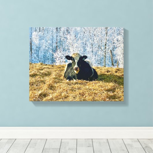 Holstein Kalf op Frosty Alberta Ochtend Canvas Afdruk (Insitu (Houten vloer))
