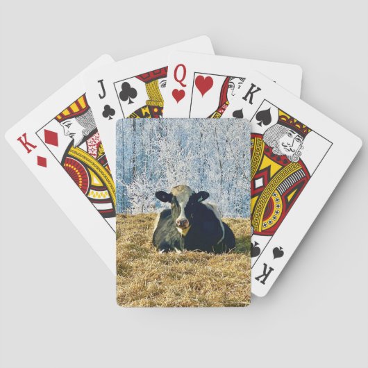 Holstein Kalf op Frosty Alberta Ochtend Pokerkaarten (Achterkant)