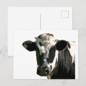 Holstein Koe Boerderij Animal Dairy Black & White Briefkaart (Voorkant / Achterkant)