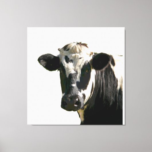 Holstein Koe Boerderij Animal Dairy Black & White Canvas Afdruk (Voorkant)