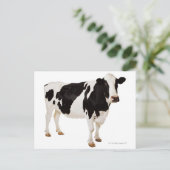 Holstein koe (Bos taurus) Briefkaart (Staand voorkant)