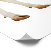 Holstein koe (Bos taurus) Poster (Hoek)