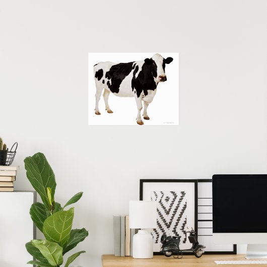 Holstein koe (Bos taurus) Poster (Thuiskantoor)