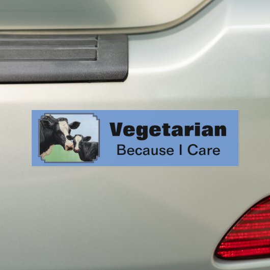 Holstein Koe & Calf Vegetarian Sky Blue Bumpersticker (Op auto)