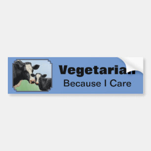Holstein Koe & Calf Vegetarian Sky Blue Bumpersticker