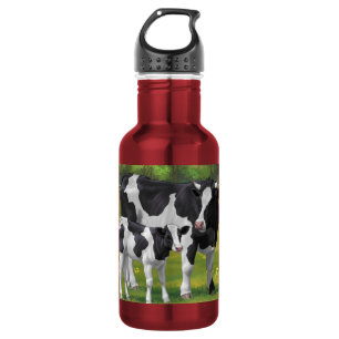 Holstein Koe & Cute Calf in zomerperiode Waterfles