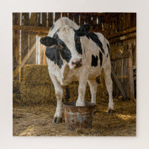 Holstein-koe die in een roestige emmer staat legpuzzel
