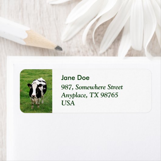 Holstein koe etiket (Insitu)