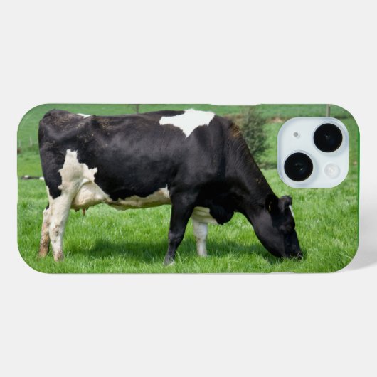 Holstein Koe Grazing in pasta Case-Mate iPhone Case (Achterkant (horizontaal))