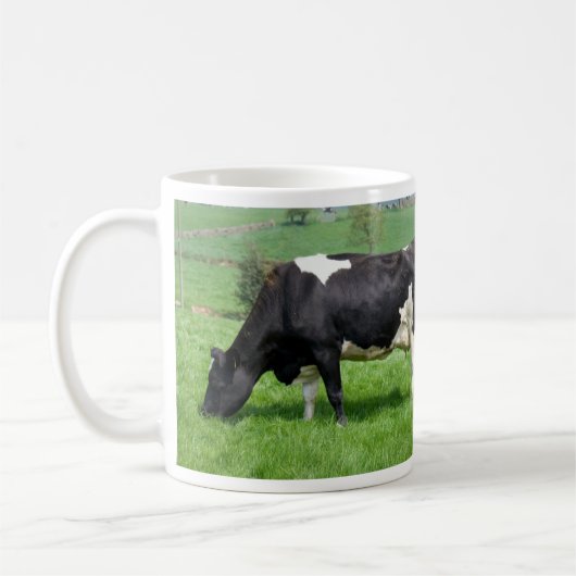 Holstein Koe Grazing Mok (Links)