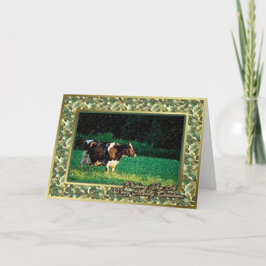 Holstein Koe Heifer Blank Kerst Kaart (Voorkant)