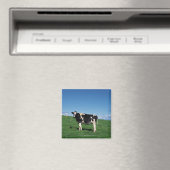 Holstein koe in het veld, Bekkai-Machi, Magneet (Insitu (Vaatwasser))