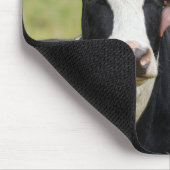 Holstein Koe Kust Muismat (Hoek)