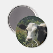 Holstein Koe Magneet (Voorkant / Achterkant)