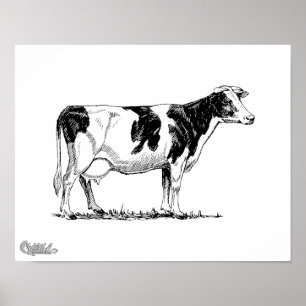 Holstein Koe Poster