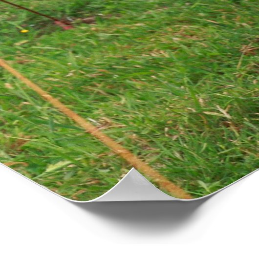 Holstein koe poster (Hoek)