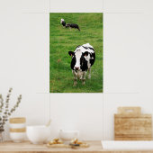 Holstein koe poster (Keuken)